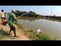 Rohu fishing | Catching tilapia fish & rohu fish