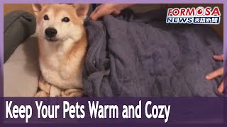 Animals need to be kept warm and cozy in the winter: animal protection experts