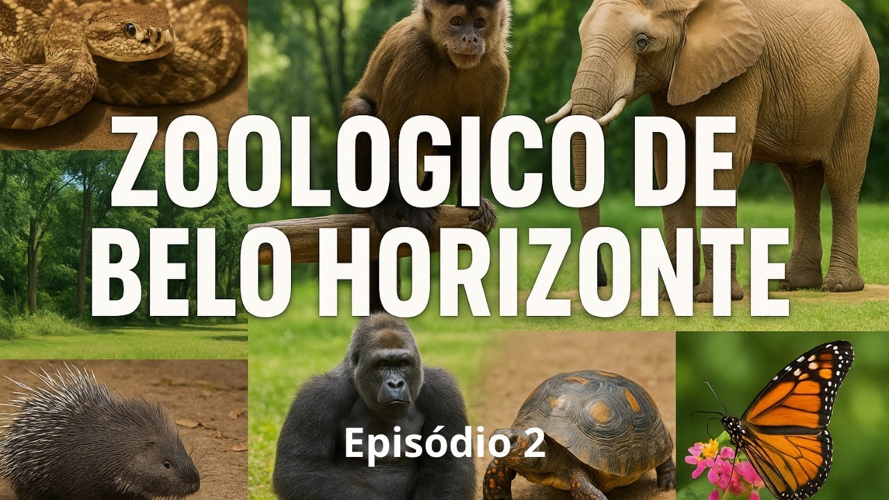 ZOOLÓGICO DE BH Ep2 - uma aventura animal