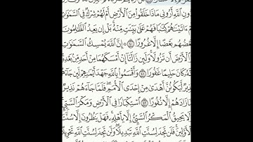 سورة فاطر 39- 45 (٤٣٩)     Sheikh Anas AlHibri