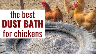 How to Make a Dust Bath for Your Chickens (With the Right Ingredients)
