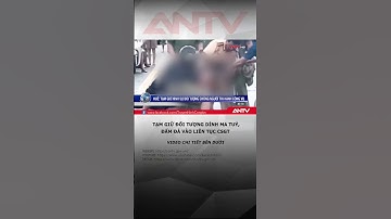 Tạm giữ đối tượng đấm liên tục vào mặt CSGT làm nhiệm vụ #antv #shorts #thoisu #csgt
