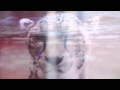 Beat Culture // Before You Go (Official Video)