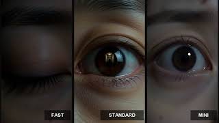 cat eye seedance fast standard mini horizontal 16x9 labeled