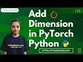 How to Add Dimension in Python PyTorch | Add Dimension in PyTorch