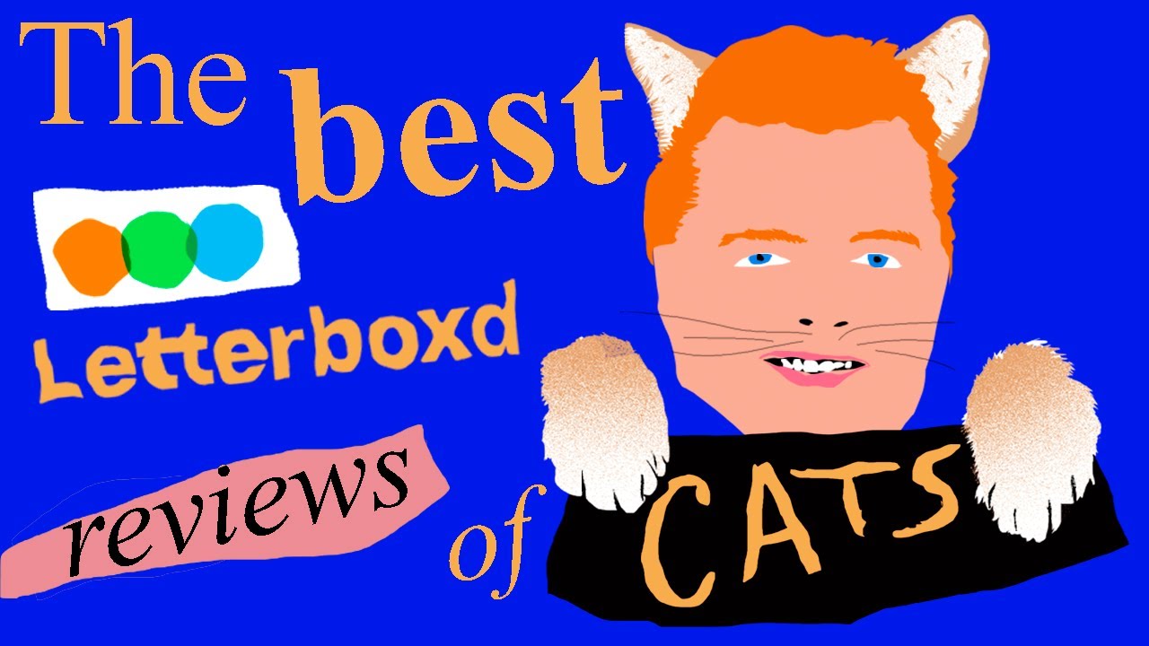 The BEST Letterboxd Reviews of Cats (2019) YouTube