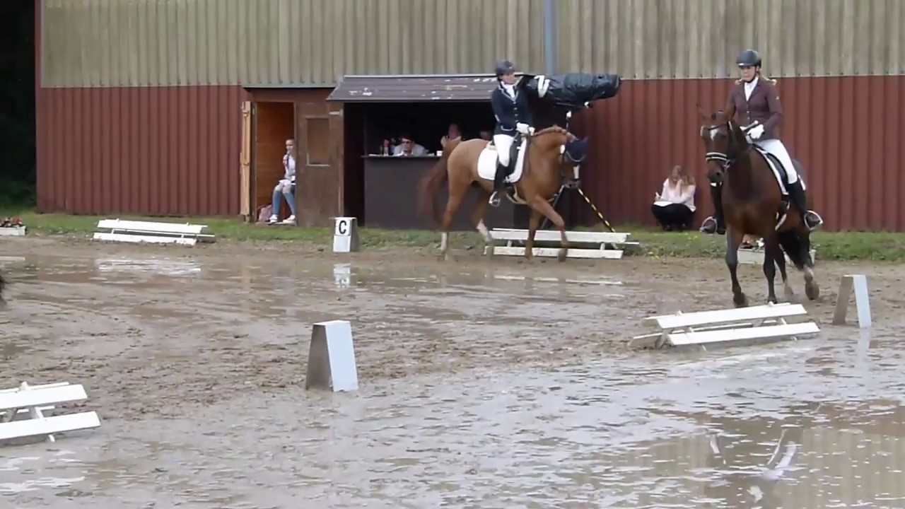 A-Dressur [A1] 01.07.2017 //Oberhausen-Sterkrade