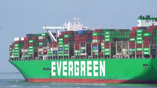 4K SHIPSPOTTING  PORT ANTWERP 2026 - World's Biggest Containership | Mega Transports  #ship