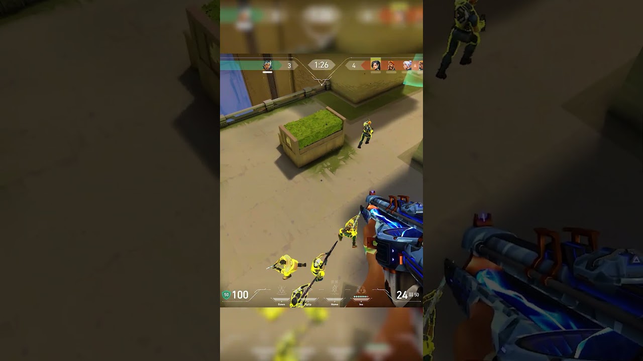 БЕЗУМНЫЙ ЖУК-ВАЛУН! БЕЗУМНЫЙ ТУЗ!