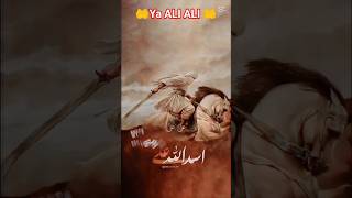 Ali ka zikr an ibadat hai man kunto maula ali mere Nabi ne bola ali hai uska maula ali #yaali #music