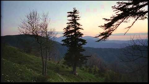 映画『四つのいのち』予告編