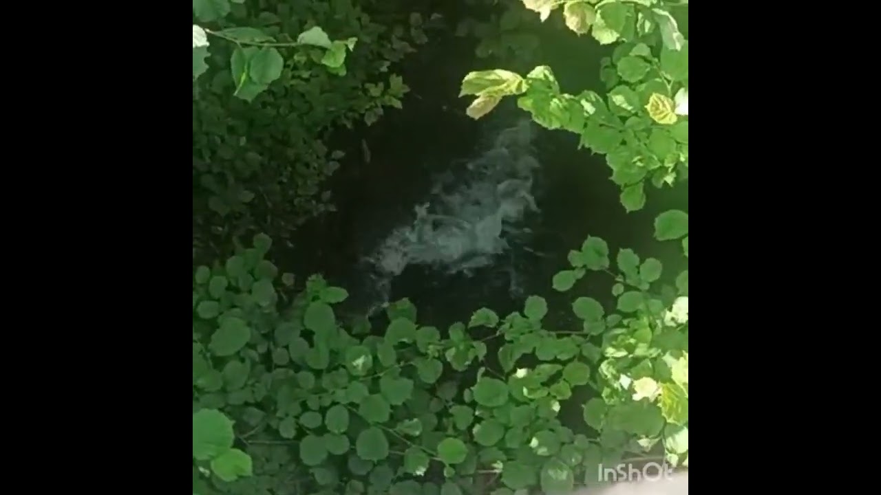 أروع الأوقات بين الماء والخضرة