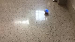 Sphero Making a Circle