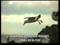 Claude Barzotti _Poète [subtitrare română]