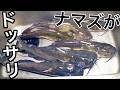いつでも好釣のアメリカナマズ 【辛いのは釣場までの長時間ドライブ】