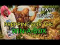 Practicing Sealed Before the Arena Direct | Lorwyn Sealed | MTG Arena