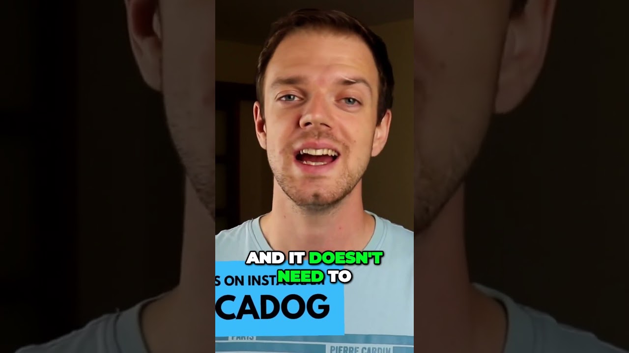 Black Mouth Cur - The Ultimate Working Dog