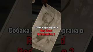 Cобака Артура Моргана в RDR 2