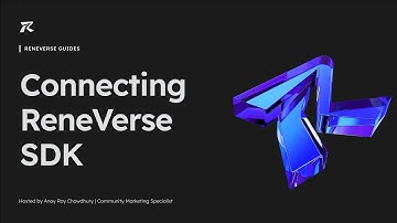 Connecting ReneVerse SDK (3/5) with Borderless Ads | ReneVerse - Integration Tutorial Guide