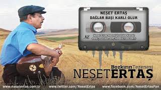 Neşet Ertaş - Dağlar Başı Karlı Olur