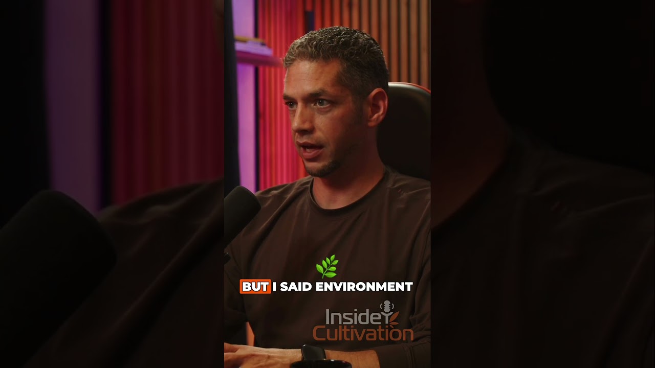 From Basement to Brand: Michigan Matt on Going Legal 🌱🔥