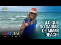 Arte, gastronomía y cultura: Conozca Miami Beach con Indira Leal - VPItv