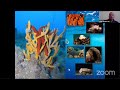סודות הים התיכון- הרצאתו של אלון רוטשילד, מנהל תחום מגוון ביולוגי בחברה להגנת הטבע