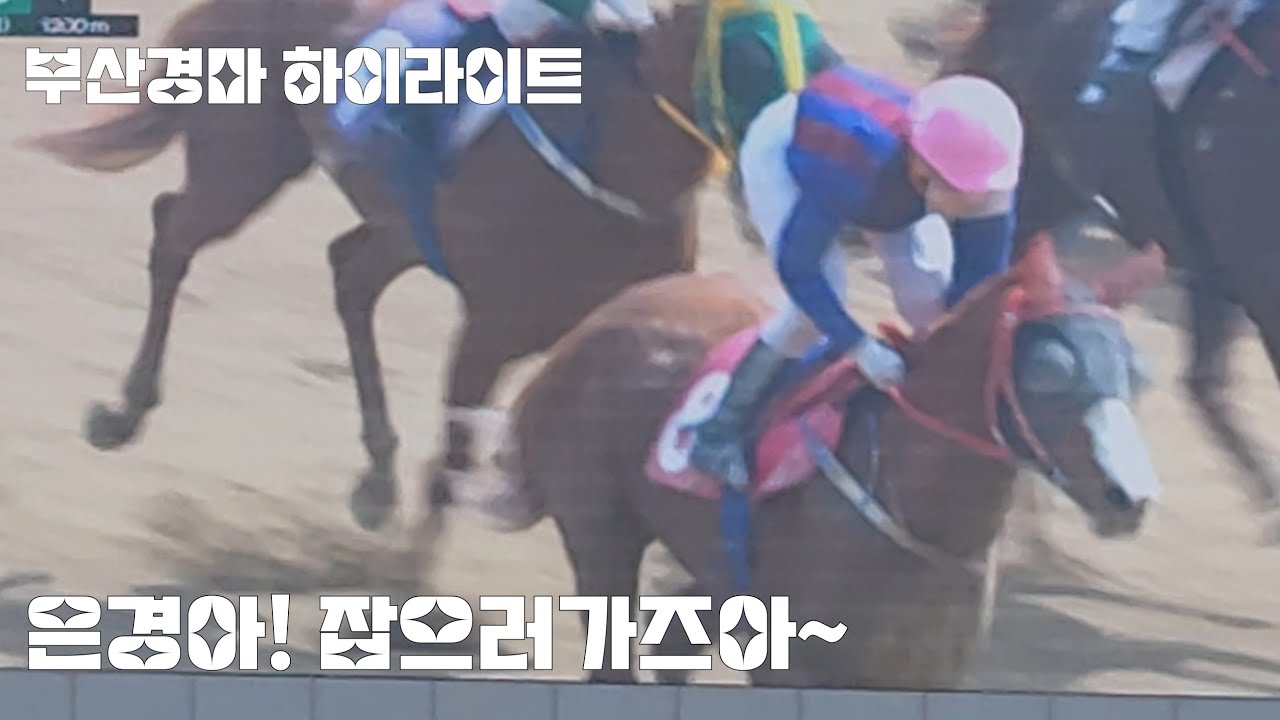 부산경마 여전사(최은경)기똥찬 추입승 