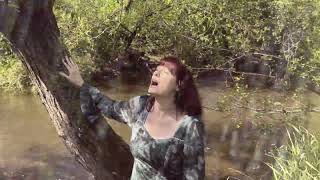 Autumn Tears - The Light That Shapes Us (The Circle Music)