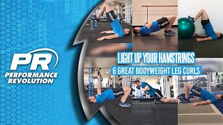 Celebrity Six Great Ways To Bodyweight Hamstring Curl #shorts Wealth