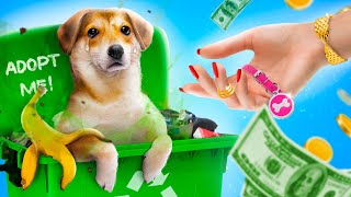 Миллионеры Приютили Бедную Собаку || Бедный Vs Богатый Питомец