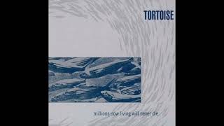 Tortoise - The Taut And Tame