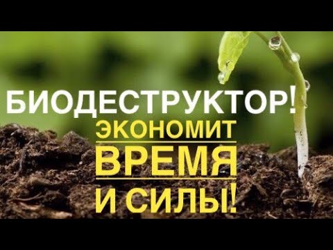 Если вы не используете осенью биодеструктор, то вы теряет 30 урожая!!!