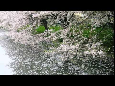 สายธาร - นนทิยา จิวบางป่า