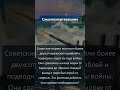 Жертвенная стойкость #антропология #культура #обычаи #народы #археология #историческиефакты #военная
