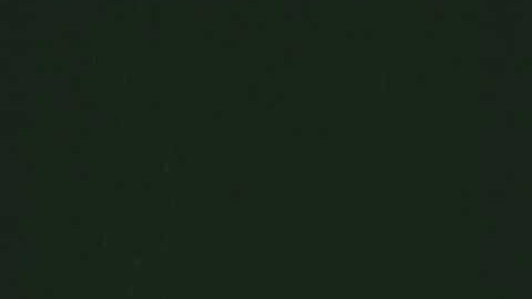 GFP expressing E Coli BL21