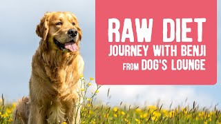 From KIBBLE to RAW. Raw Diet Journey with Benji | Part 1 | Pet Advice