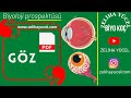Duyu Organları - GÖZ #ayt #sistemler