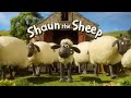 Shaun the Sheep intro (Series 3)