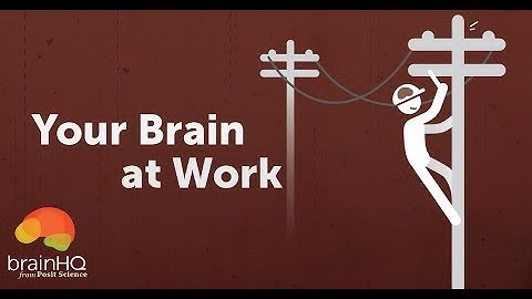 Your Brain at Work
