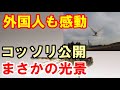 【海外の反応】ラピュタに出てくるあの羽ばたく飛行機!日本人が作ったオーニソプターに海外に衝撃