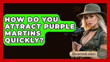 How Do You Attract Purple Martins Quickly? - Bird Watching Diaries