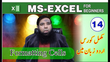 Formatting Cells Option in Microsoft Excel Class 14.