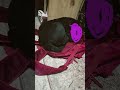 lindo no