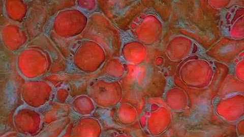 Neopixel USB art. Mixed media on Canvas with APA 102 and Arduino Nano