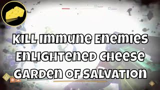 Kill Immune Enemies Enlightened Cheese Garden of Salvation Raid