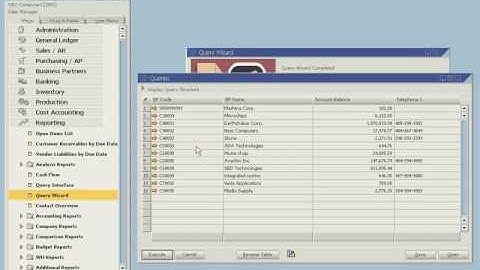 SAP Business One Generating Custom Reports