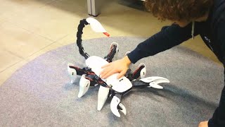 10 amazing animals robot that really exists | advance 🤖 🤖 🤖| robotics horse|transforming cars 🤖