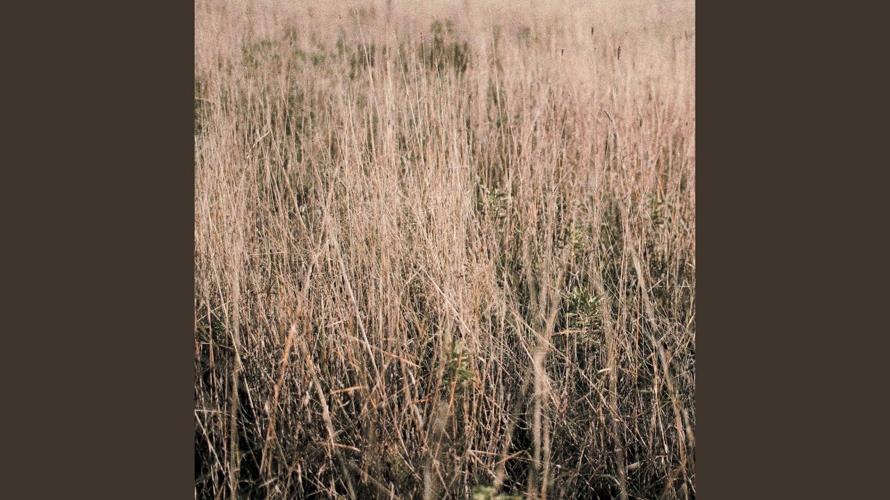 Watch Triangle on YouTube Watch Triangle on YouTube