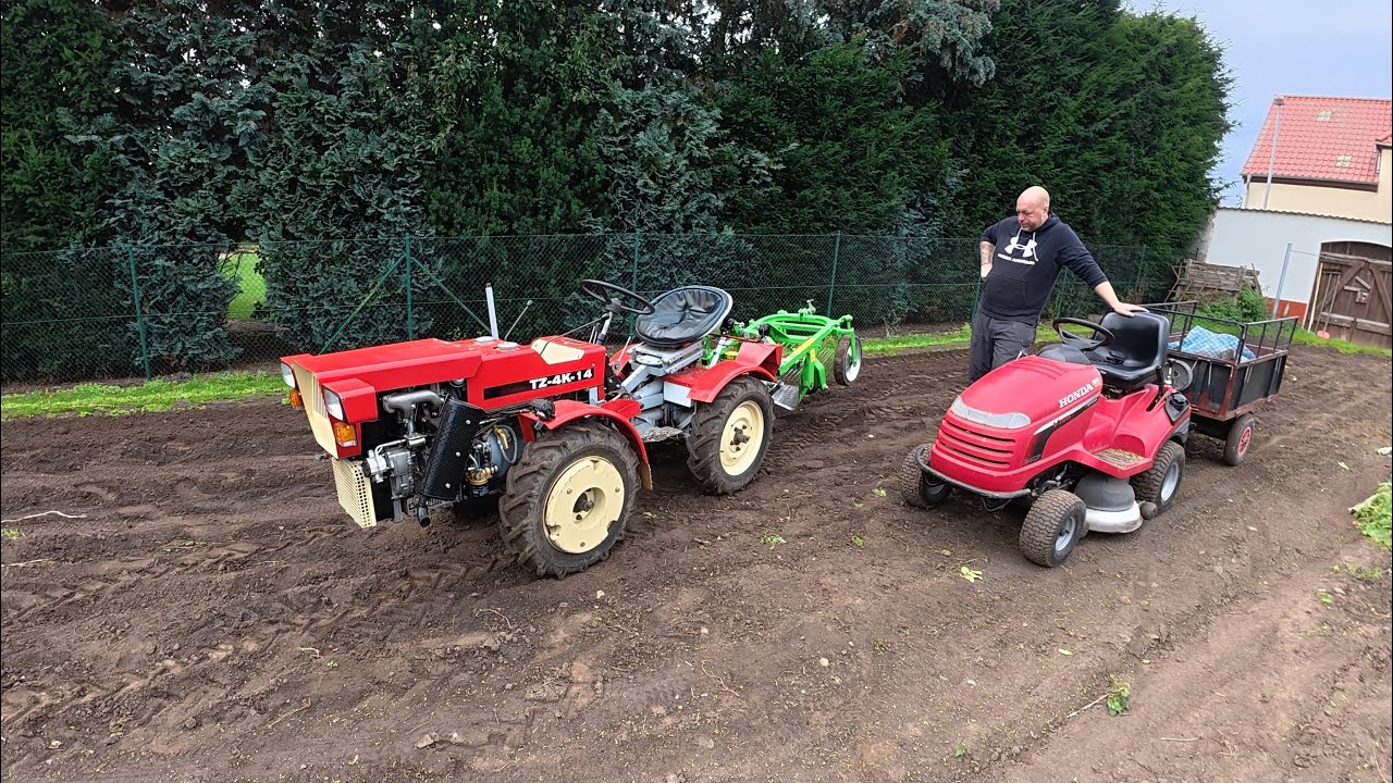 Kartoffel - Ernte im September 2025